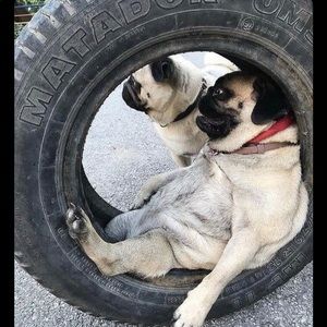 Meet your Posher, Cameron